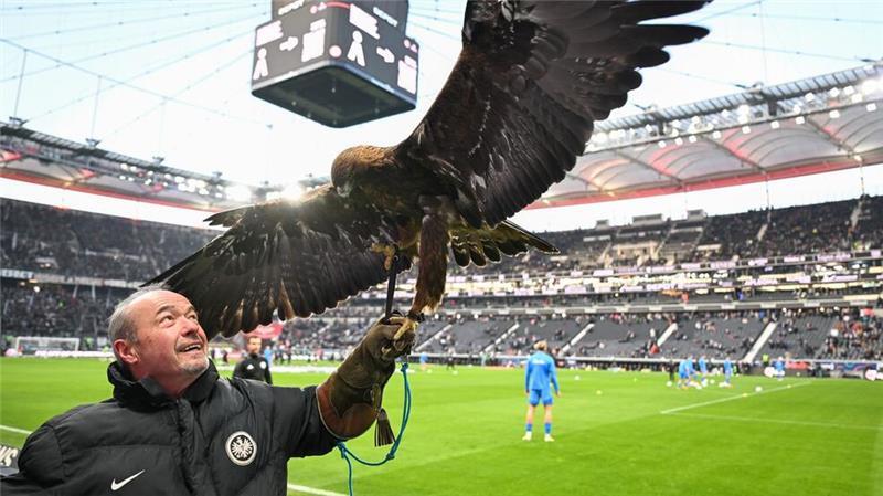 Lebende Fußball-Maskottchen: Tierleid oder Tradition? Falkner Norbert Lawitschka mit Eintracht-Maskottchen Steinadler Attila.