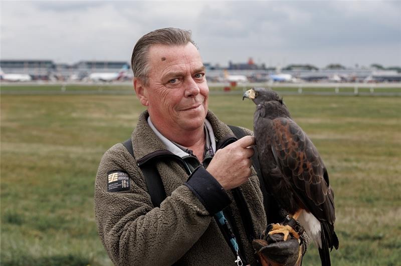 Warum ein Falkner am Flughafen Hamburg arbeitet Falkner mit Spezial-Einsatzgebiet: Herbert Boger ist mit seinen Wüstenbussarden am Flughafen Hamburg für die Vogelvergrämung zuständig. Foto: Markus Scholz/dpa-tmnBildtext