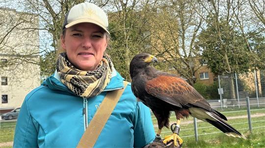 Falknerin Rieke Wiecker steht mit Wüstenbussard "Ash" vor Bäumen, in denen Saatkrähen entlang der Sagekuhle in Buxtehude nisten.