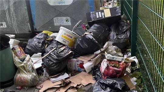 Farbeimer, Müllsäcke, Pappe: Hinter und zwischen den Altglas- und Altpapiercontainern am Brink türmt sich, was Müllfrevler heimlich abgeladen haben.