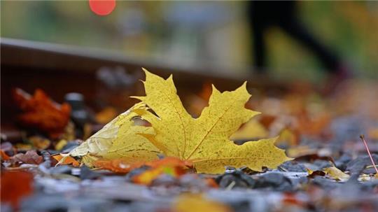 Farbenfroh - aber auch rekordverdächtig bei Niederschlägen und Temperaturen: So lässt sich der Oktober in Deutschland zusammenfassen.