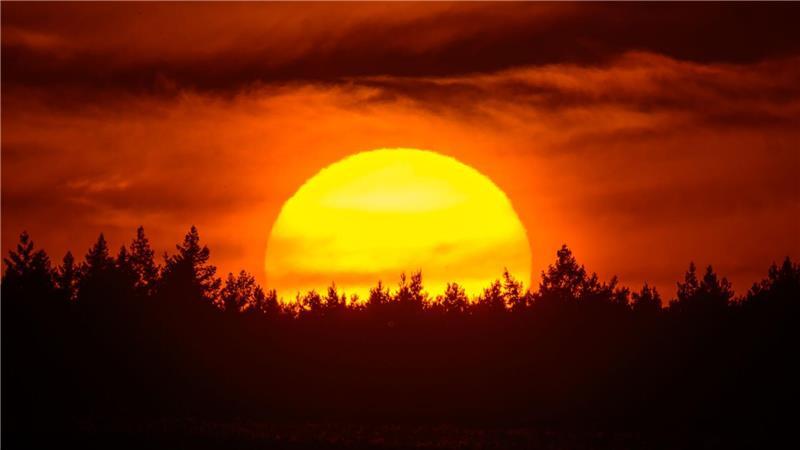 Bilder des Tages Farbenprächtig leuchtet der Sonnenuntergang hinter einem Waldgebiet im östlichen Brandenburg.