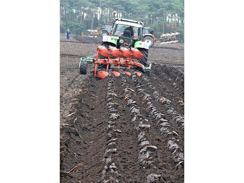 Fast 60 Teilnehmer zeigen ihr Können beim Leistungspflügen .