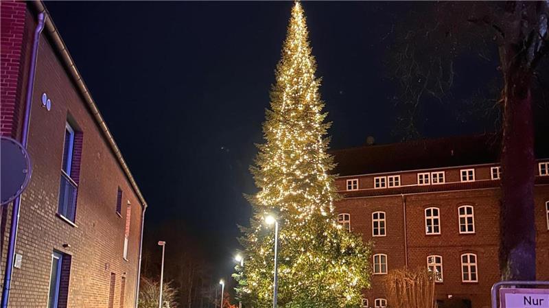 Fast ein halber Kilometer Lichterkette schmückt den Weihnachtsbaum am Steinmetzhaus.