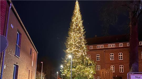 Fast ein halber Kilometer Lichterkette schmückt den Weihnachtsbaum am Steinmetzhaus.