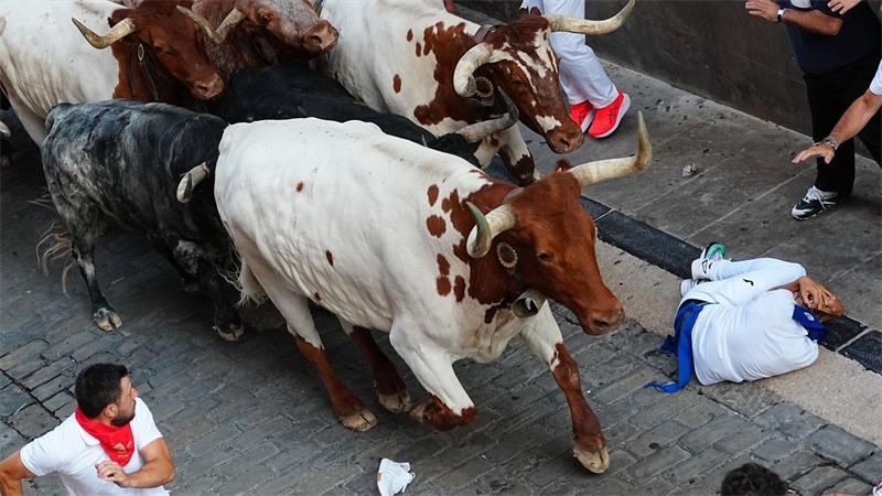 Feiernde laufen beim zweiten Stierlauf des San-Fermín-Festes neben den Kampfstieren.