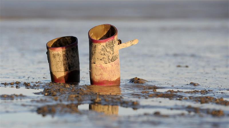 Flut, Seenebel und andere Gefahren – Tipps für Wattwanderer Feste Schuhe empfehlen sich - vor allem im weichen Schlickwatt könnten Gummistiefel vom Fuß rutschen. (Archivbild)