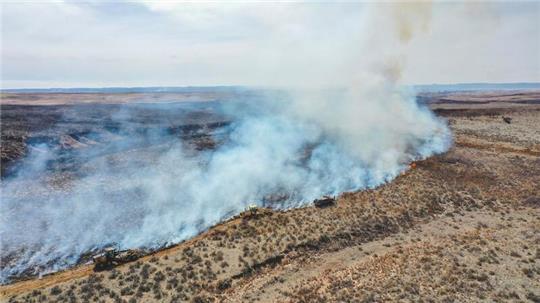 Feuerwehrleute bekämpfen das Smokehouse Creek Fire nördlich von Canadian im US-Bundesstaat Texas.
