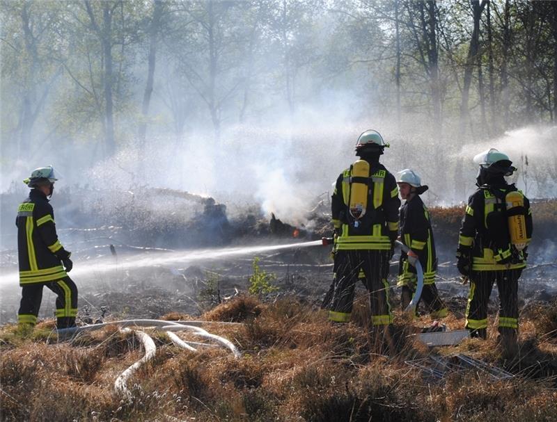 Feuerwehrleute bekämpfen den Waldbrand im Moor. Foto Vasel