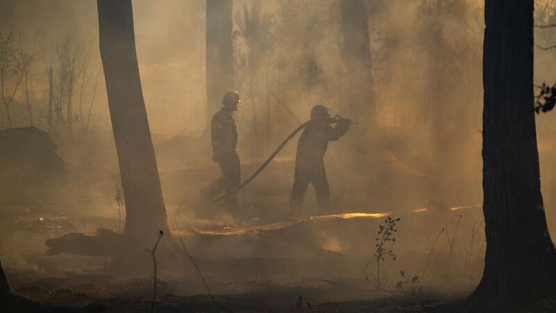 Feuerwehrleute bekämpfen einen Waldbrand.
