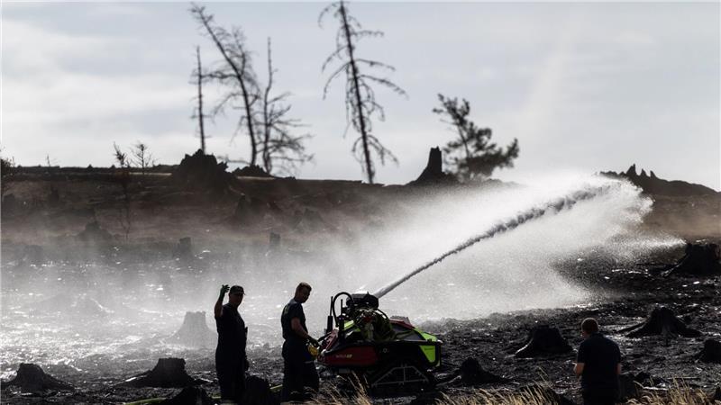 Feuerwehrleute bekämpfen versteckte Glutnester beim Waldbrand auf der Saalfelder Höhe.