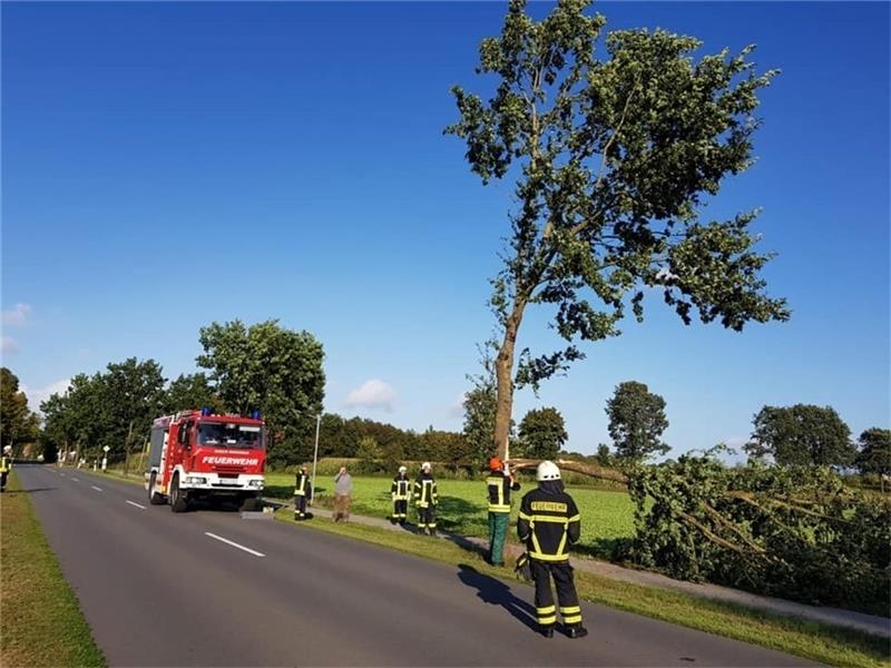 Feuerwehrleute beseitigen in Kutenholz einen großen Ast, der auf dem Fuß- und Radweg gelandet ist. Foto: Feuerwehr
