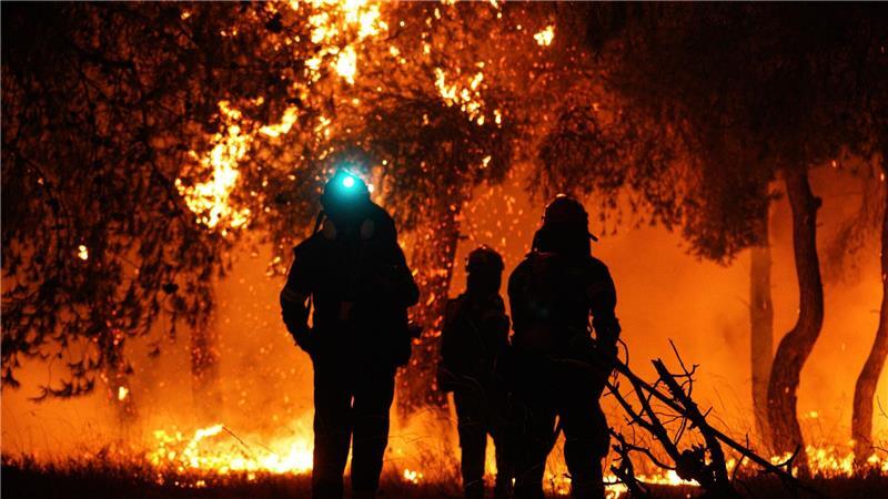 Feuerwehrleute löschen die Flammen während eines Waldbrandes in Asprochori, Oropos, Attika.