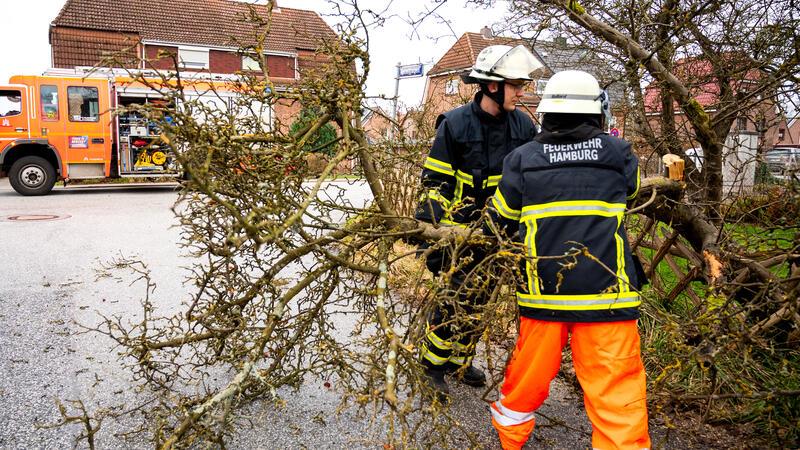 Ruhige Nacht trotz Sturm und Hochwasser im Norden Feuerwehrleute räumen im Hamburger Stadtteil Nettelnburg einen Ast von einem auf die Straße gekippten Baum beiseite. In weiten Teilen Deutschlands herrscht stürmisches Wetter.