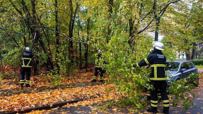 Feuerwehrleute sägen nach Starkregen und Sturm im Hamburger Stadtteil Lohbrügge einen abgeknickten Ast von einem Baum ab. (Archivbild)