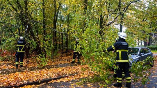 Feuerwehrleute sägen nach Starkregen und Sturm im Hamburger Stadtteil Lohbrügge einen abgeknickten Ast von einem Baum ab. (Archivbild)