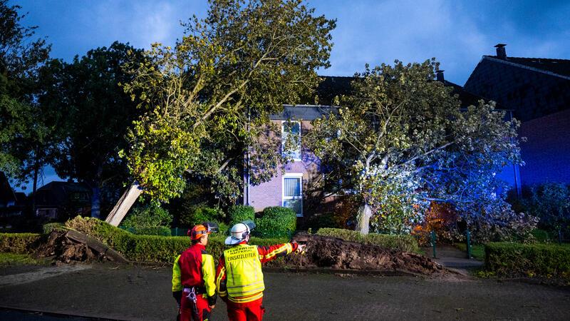 Große Schäden nach Ostseeflut – Fähren fahren wieder Feuerwehrleute stehen vor zwei entwurzelten Bäumen, die gegen ein Mehrfamilienhaus gefallen sind. Sturmtief Viktor richtet Schäden in Norddeutschland an. Foto: Daniel Bockwoldt/dpa