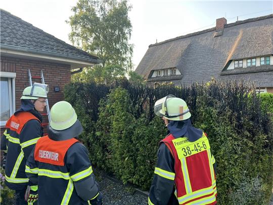 Feuerwehrleute vor der angebrannten Hecke. Foto: J. Kleine