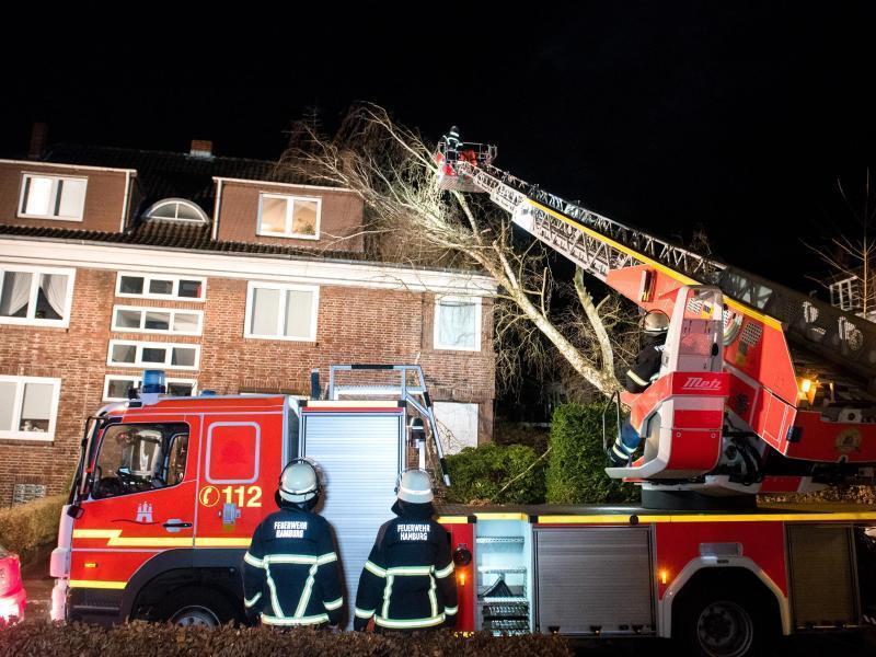 Feuerwehrleute zersägen in Hamburg-Bergedorf einen auf ein Haus gestürzten Baum. Foto: Daniel Bockwoldt/dpa