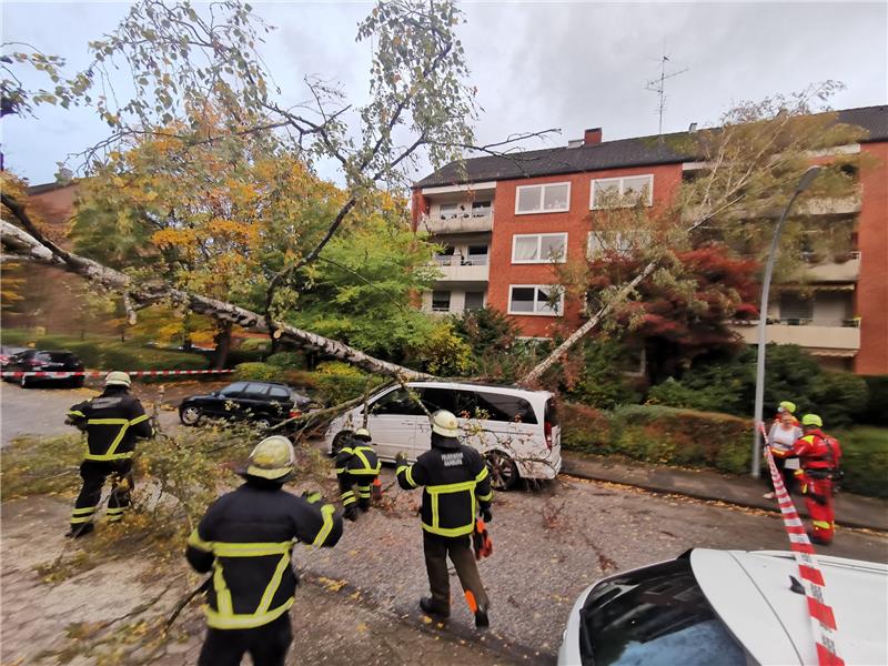 Feuerwehrmänner stehen vor zwei umgestürzten Bäumen im Stadtteil Ohlsdorf. Das Tief "Ignatz" bringt heftige Sturmböen nach Norddeutschland. Foto: Steven Hutchings/TNN/dpa