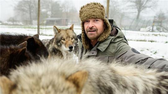 Filmwolf-Trainer Miguel de la Torre und seine Tiere haben im Film „Woodwalkers 2“ mitgewirkt.