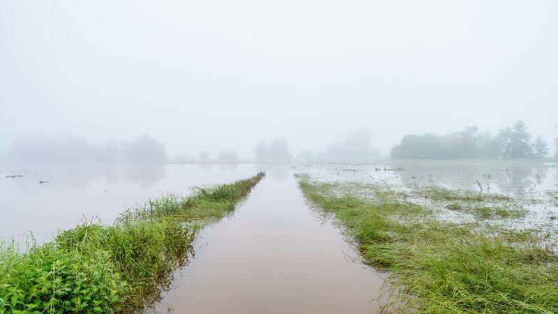 Saar-Bauern leiden unter Hochwasserschäden Finanzielle Einbußen durch das Hochwasser haben nicht nur Bauern, denen die Ernte ausgefallen ist, sondern auch Landwirte, die für ihre Produkte keine Abnehmer mehr finden.