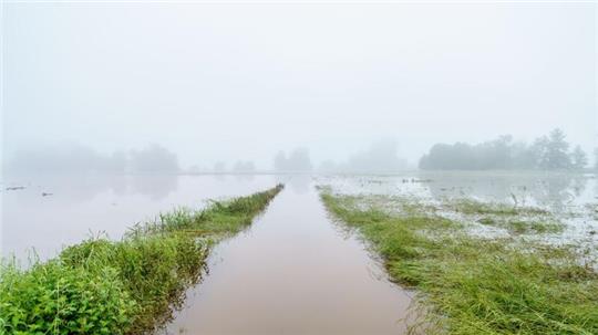 Finanzielle Einbußen durch das Hochwasser haben nicht nur Bauern, denen die Ernte ausgefallen ist, sondern auch Landwirte, die für ihre Produkte keine Abnehmer mehr finden.