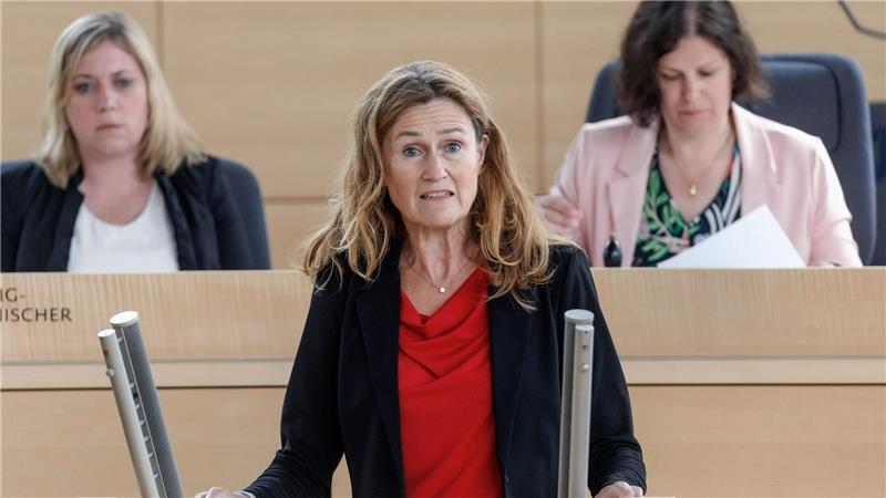 Land und Kommunen teilen Sondervermögen auf Finanzministerin Silke Schneider bezifferte im Mai den Anteil des Landes am Sondervermögen auf knapp 3,5 Milliarden Euro.