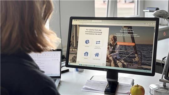 Findige Unternehmen locken im Internet mit der sogenannten Steinrente.