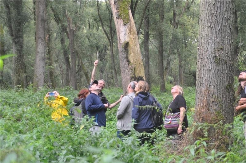Fingerzeig: Jan Mewes von der Klimaschutzinitiative mit einer Gruppe beim sonntäglichen Spaziergang durch den Vollhöfner Wald. Fotos: Wahba
