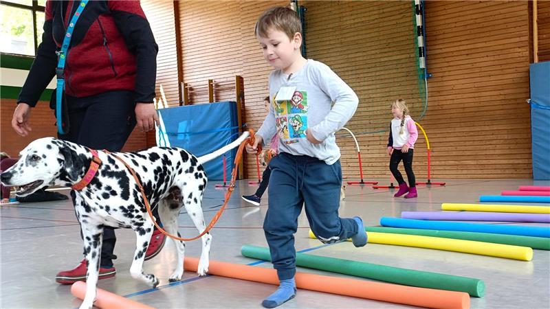 Finn bei einer Parcours-Station mit Kiba, der Dalmatinerhündin von Hundetrainerin Maria Görtz.