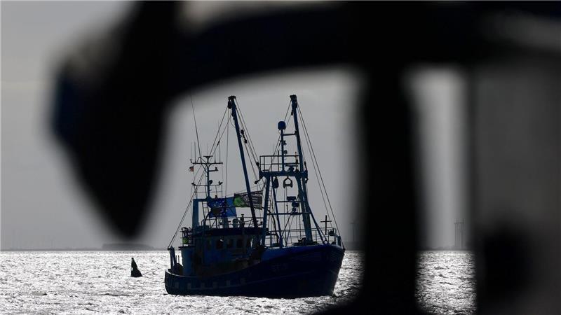 Fischer warten jährlich auf die EU-Entscheidungen zu erlaubten Fangmengen. (Symbolbild) 