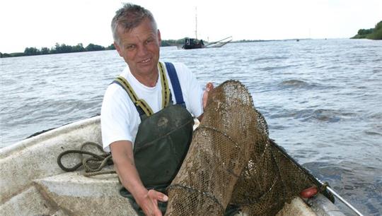 Fischsterben in der Elbe: Elbfischer Lothar Buckow aus Jork hat seine Reusen eingeholt.