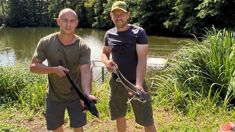 Fischwirt Leon Hecht (links) und Fischwirtsmeister Marco Neumann zeigen einen sibirischen und einen russischen Stör.