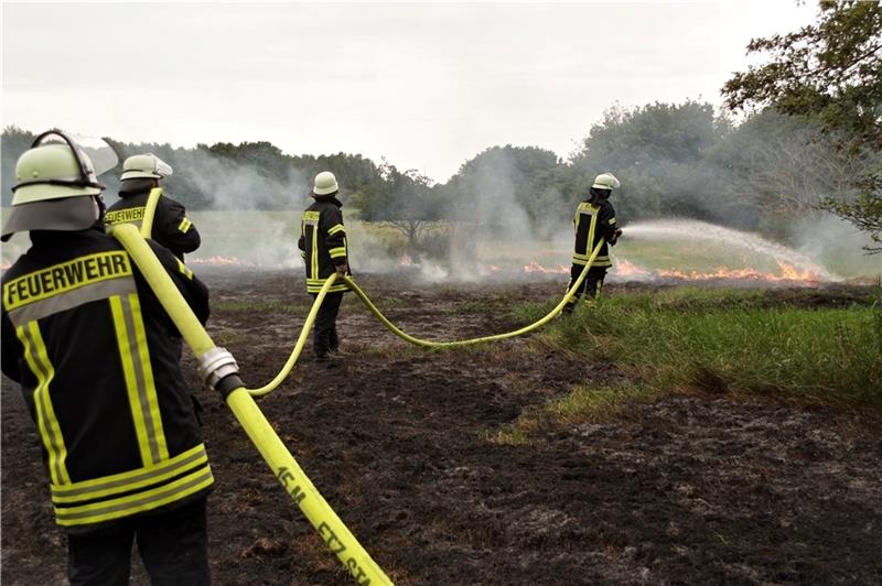 Neue wichtige Aufgabe für Feuerwehren in Himmelpforten-Oldendorf Flächenbrand in Himmelpforten