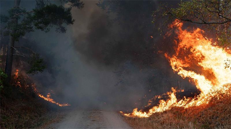 Flammen an einem Waldweg in unmittelbarer Nähe zum Ort Hürtgenwald.