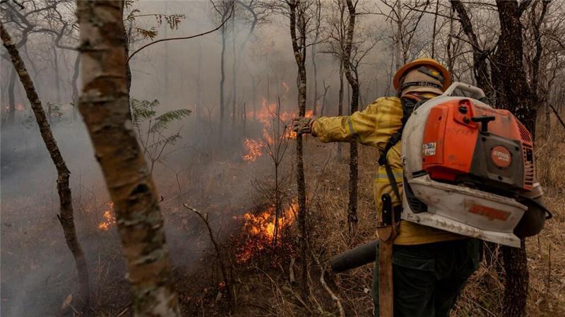 Flammen fressen sich durch die trockene Landschaft.