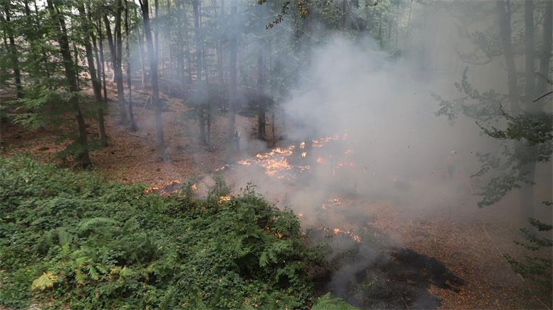 Wüst sieht „erste Hoffnung“ im Kampf gegen Waldbrand Flammen lodern am Boden beim Waldbrand im Hürtgenwald.
