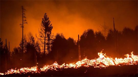 Flammen lodern in einem Waldstück der Saalfelder Höhe. (Archivbild)