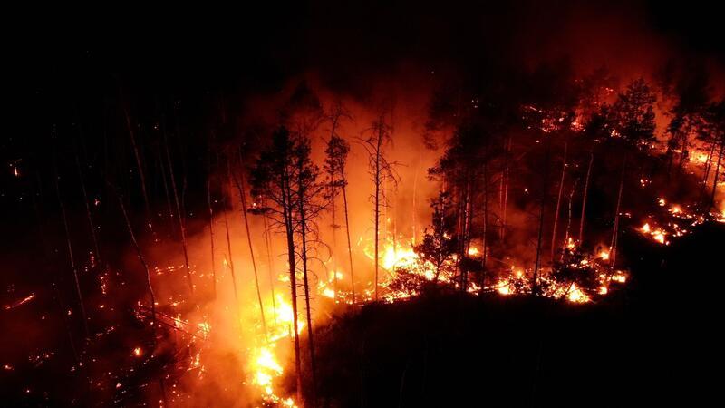 Flammen schlagen im Juni in einem Waldstück nahe Jüterbog in die Höhe.