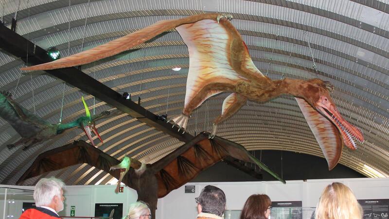 „Rundflug“ mit Flugsauriern: Führung durch die Sonderausstellung „Flieger - Eroberung des Himmels“: Besucher können an einer Führung im Natureum teilnehmen.