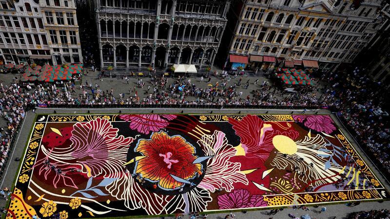 Florales Kunstwerk: Blick auf einen riesigen Blumenteppich auf dem Grote Markt in Brüssel.
