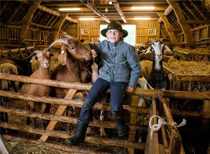 Florian posiert im Schafstall in der Fischbeker Heide mit seiner Ziege „Henrik“. Der Elfjährige ist sich schon seit Jahren sicher, dass er später mal als Schäfer arbeiten möchte. Foto: Bockwoldt