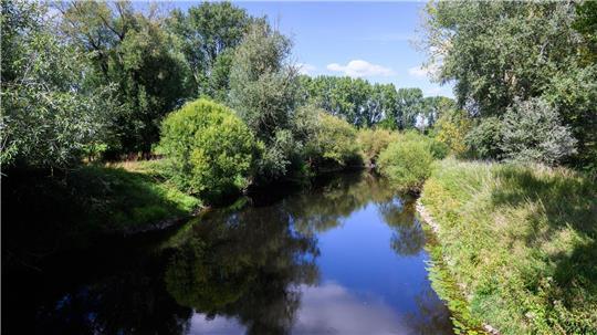 Flüsse wie die Leine leiden in Niedersachsen zunehmend unter niedrigen Wasserständen.