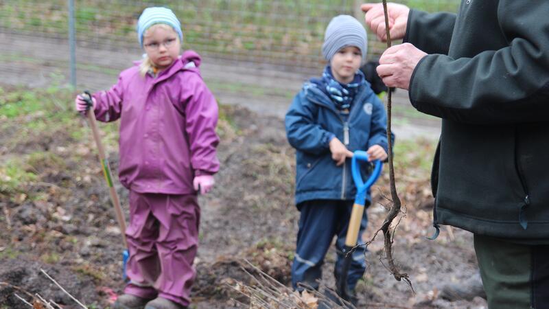 Förster Uwe Fürst zeigt, wie die Kinder die Stecklinge einpflanzen sollen.