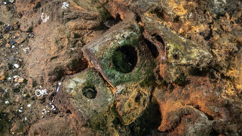 Forschungstaucher haben an einem mehr als 500 Jahre alten Wrack spannende Entdeckungen gemacht.