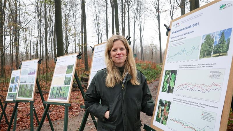 Forstministerin Cornelia Schmachtenberg ist angesichts des leicht verbesserten Waldzustands vorsichtig optimistisch.