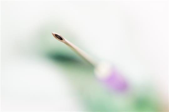 Foto: Christoph Soeder/dpa