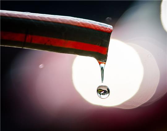 Foto: Frank Rumpenhorst/dpa