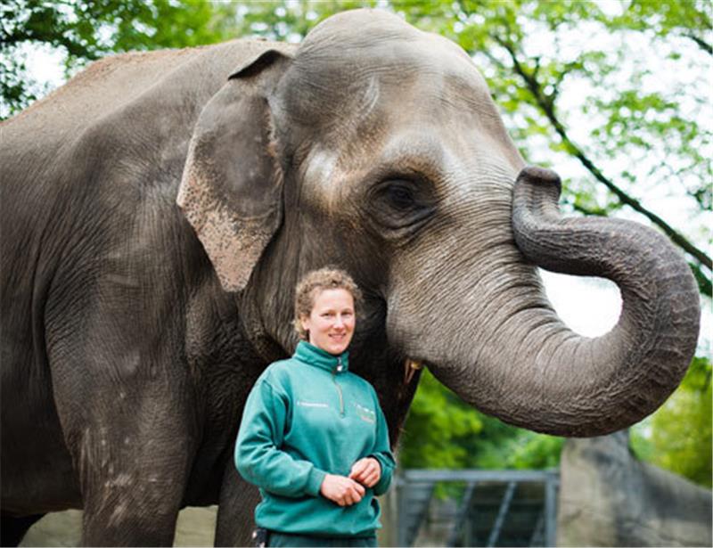 Als Elefantenpflegerin allein in einer Männerdomäne Foto dpa